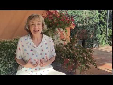 “Los Pilares del Ser” El soporte profundo de nuestra columna lumbar