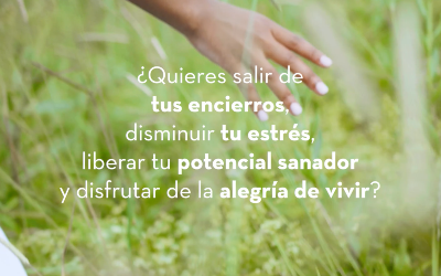 Inscríbete en el Método de Liberación de las Corazas MLC©. Impartido por Gloria Lerin.