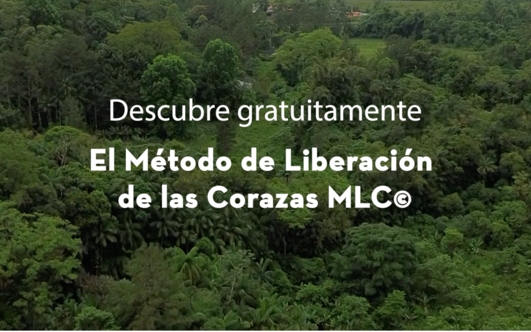 Clase Gratuita Método de Liberación de las Corazas MLC©. Jueves 19 de diciembre 18:15h Barcelona
